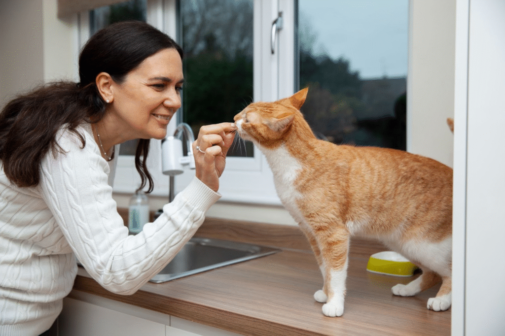 How to Use Fenbendazole Safely for Your Cat’s Deworming Needs