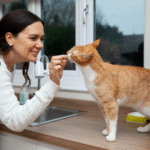 How to Use Fenbendazole Safely for Your Cat’s Deworming Needs