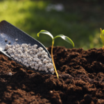 UNDERSTANDING THE ROLE OF HIGH POTASSIUM FERTILIZERS IN PLANT HEALTH AND PRODUCTIVITY