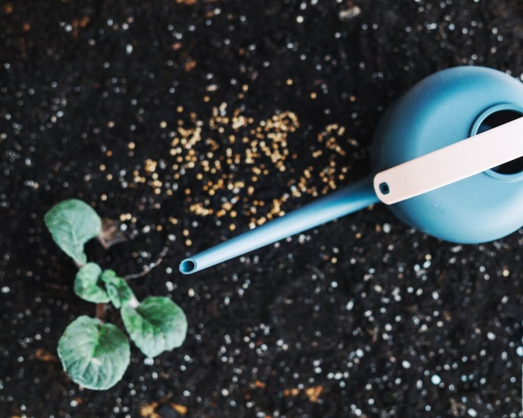 phosphorus fertilizers