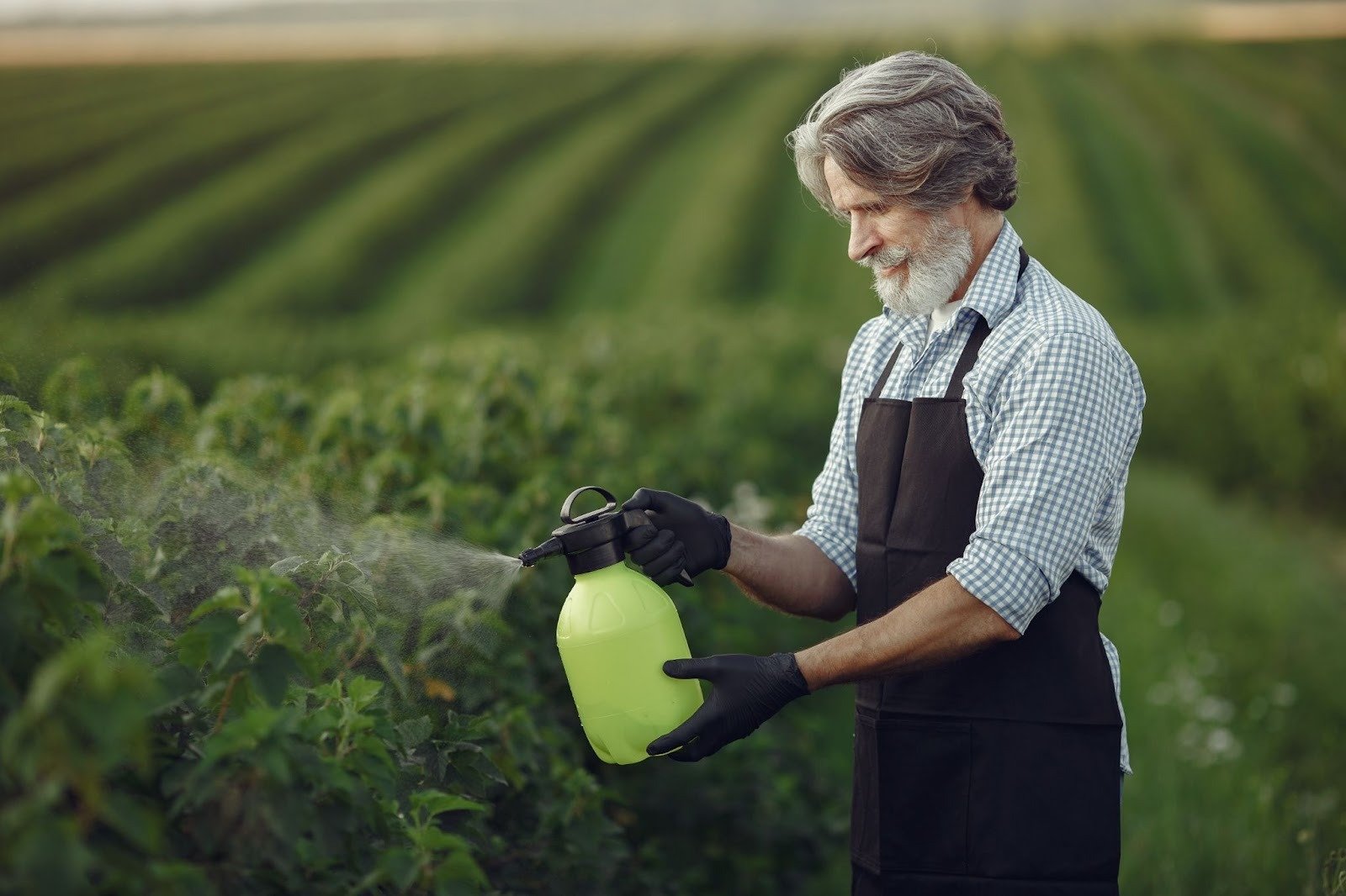 WHY DIELDRIN IS ON THE LIST OF RESTRICTED PESTICIDES WORLDWIDE