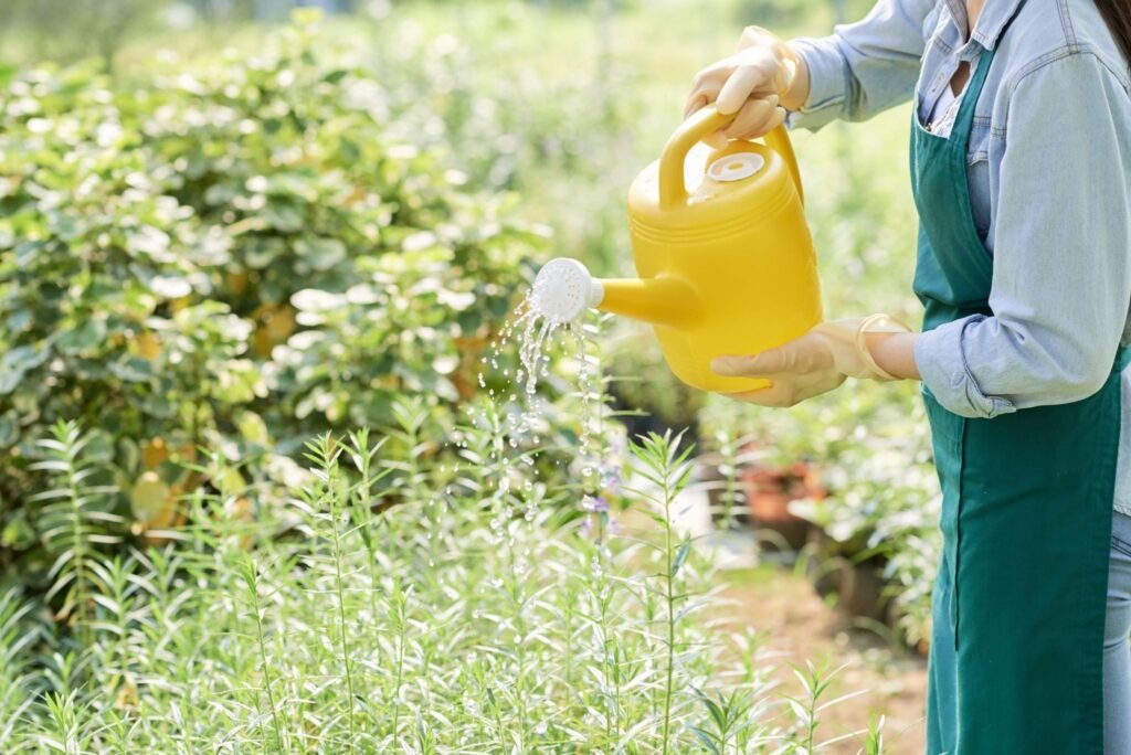 ROLE OF FULVIC ACID ACTIVE COMPOUND IN SUSTAINABLE CROP PRODUCTION