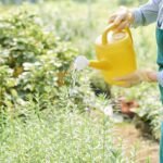 ROLE OF FULVIC ACID ACTIVE COMPOUND IN SUSTAINABLE CROP PRODUCTION
