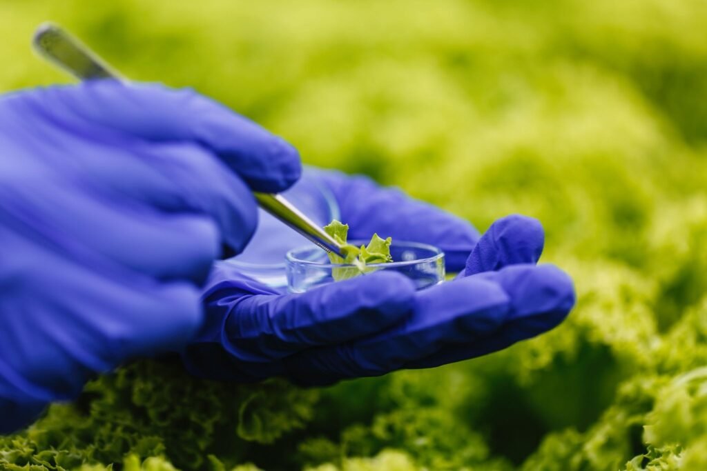 WHY NEONICOTINOID ACTIVE COMPOUNDS REMAIN CONTROVERSIAL IN AGRICULTURE