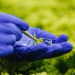 WHY NEONICOTINOID ACTIVE COMPOUNDS REMAIN CONTROVERSIAL IN AGRICULTURE