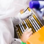 HOW BORON AND PHOSPHORUS DOPANTS CONTROL ELECTRICAL PROPERTIES IN SEMICONDUCTORS