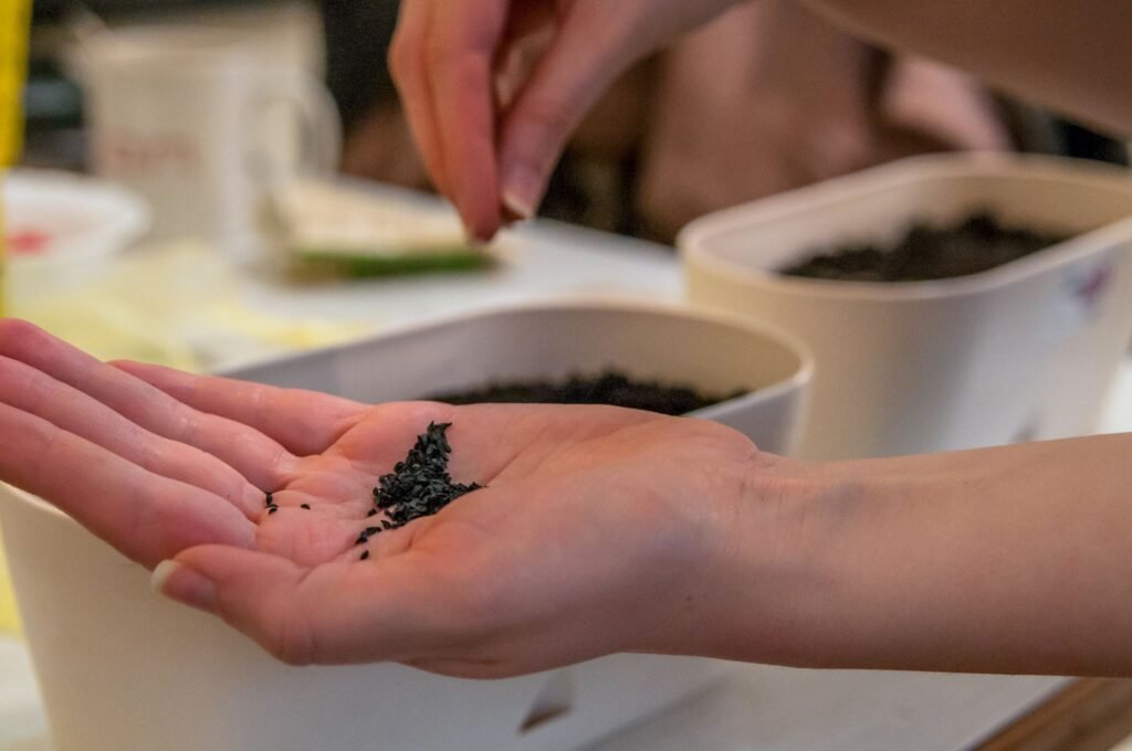 HOW HUMIC ACID ACTIVE INGREDIENT IMPROVES SOIL FERTILITY AND CROP YIELD